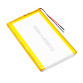 Customizable 10000mAh or 12000mAh Li-Polymer Battery